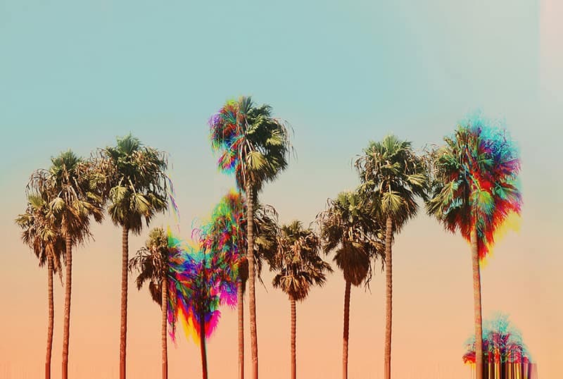 SOCIETY 6