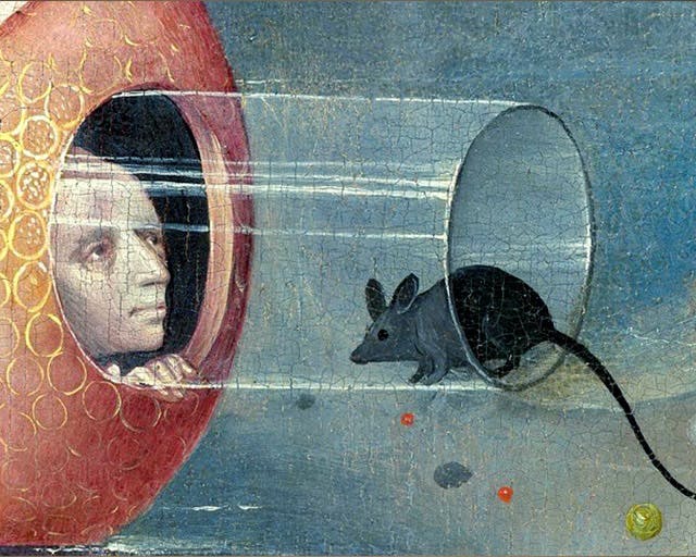 Seven curiosities from Hieronymus Bosch